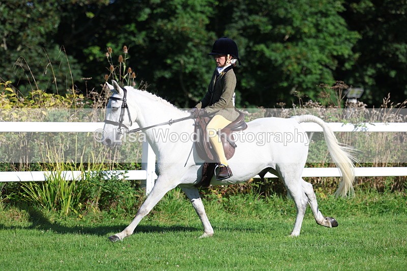 3E7A7601 - Class 1: Novice Working Hunter Pony