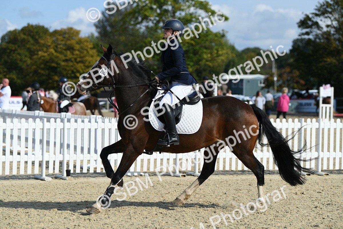 SBM_61688 - j25 - Junior Horse 80cm Championship