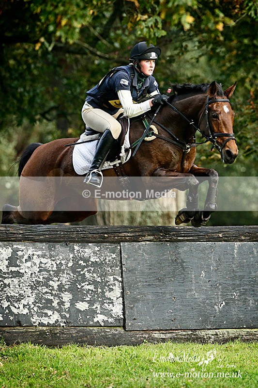 _LES6880a - Equestrian