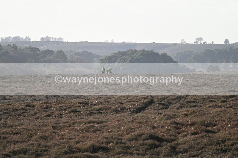 WJ7_7841 - Line 3 (no line 4 or 5)