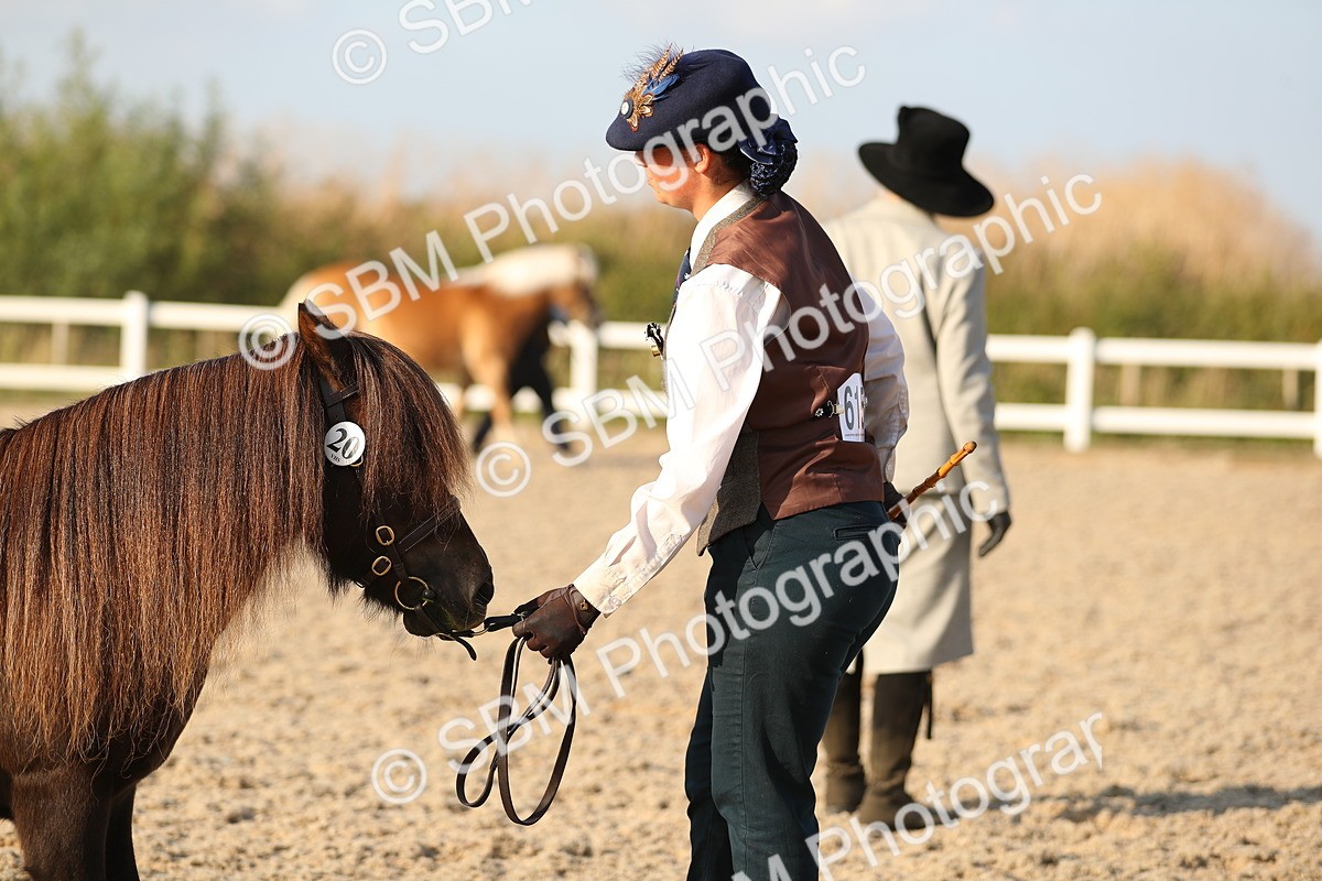 SBM_09055 - Class 29 IH Veteran Pony