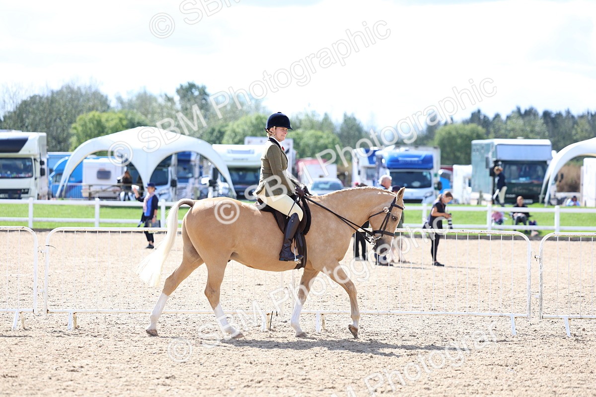 SBM_13247 - Class 311 - Ridden Show Pony Show Hunter Pony