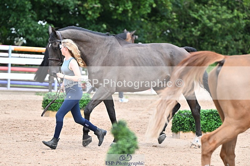 240718A-105324-01943 - Trot Up 2pm to 3pm - This folder is not in time order