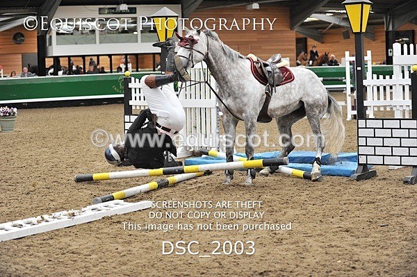 DSC_2003 - Leo