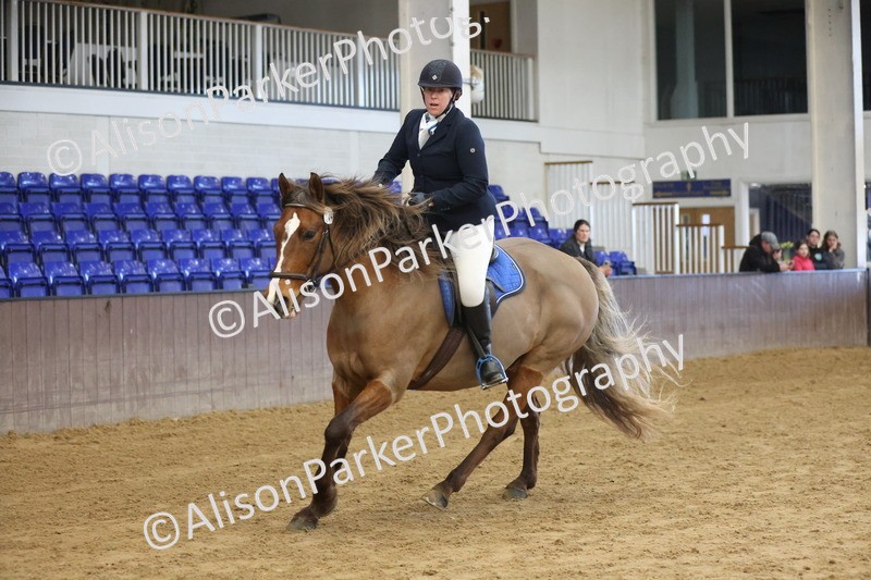 20260314-0510 - 60cm