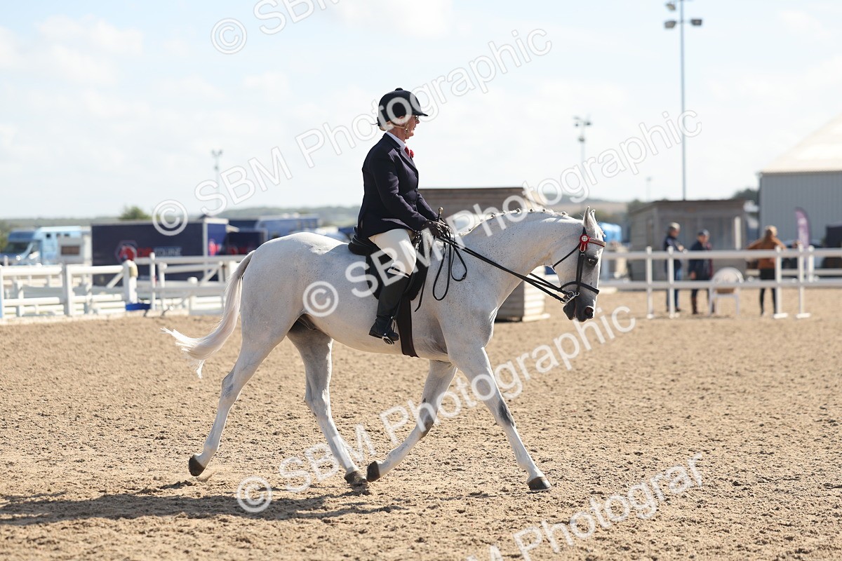 SBM_22672 - Class 805 - Ridden Veteran Horse