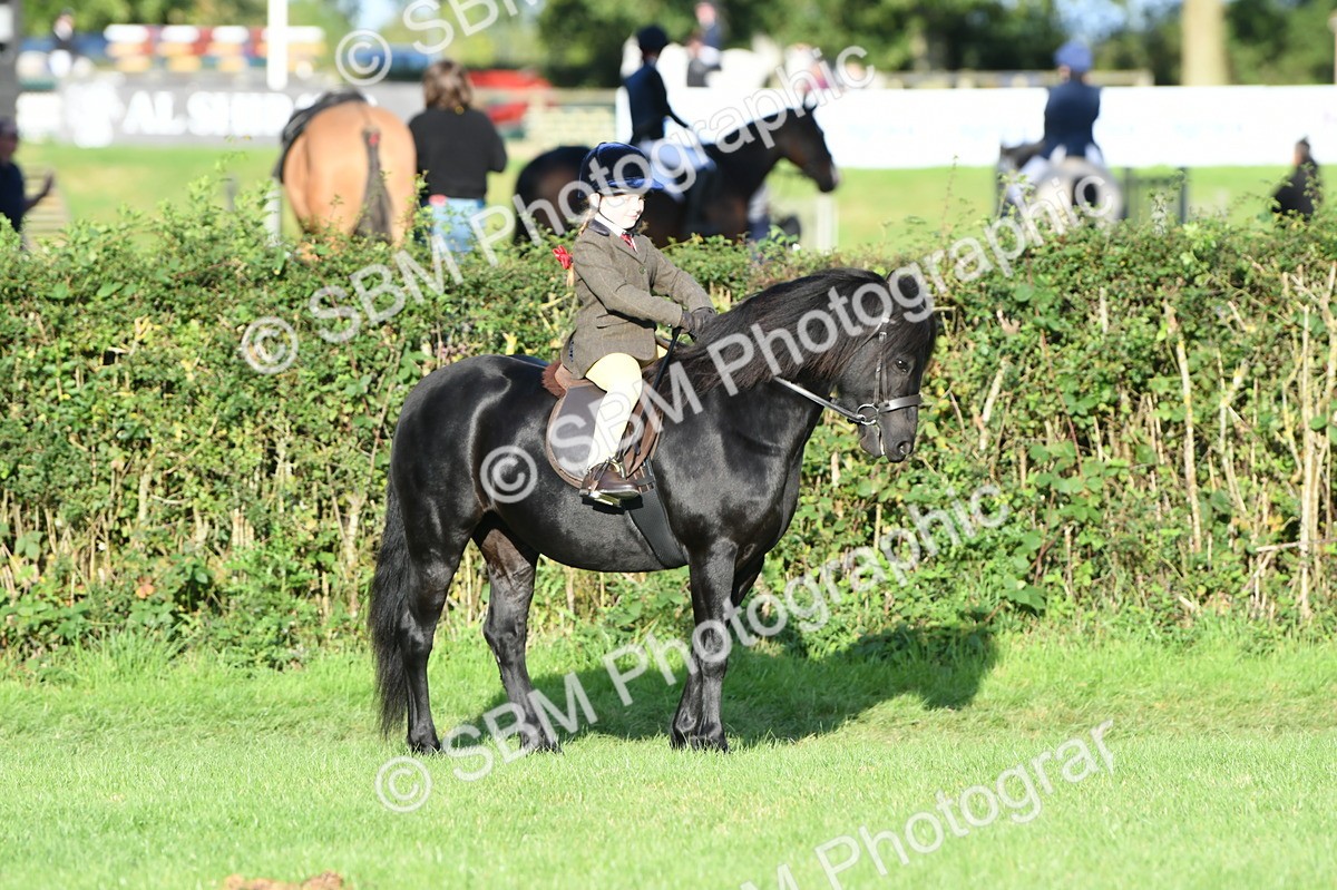 SBM_54070 - S23 - 1st Ridden Mountain & Moorland Pony