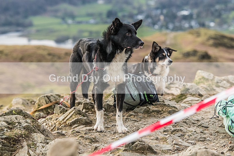 Loughrigg-18 - Loughrigg Fell Race, Wednesday 8th April 2026