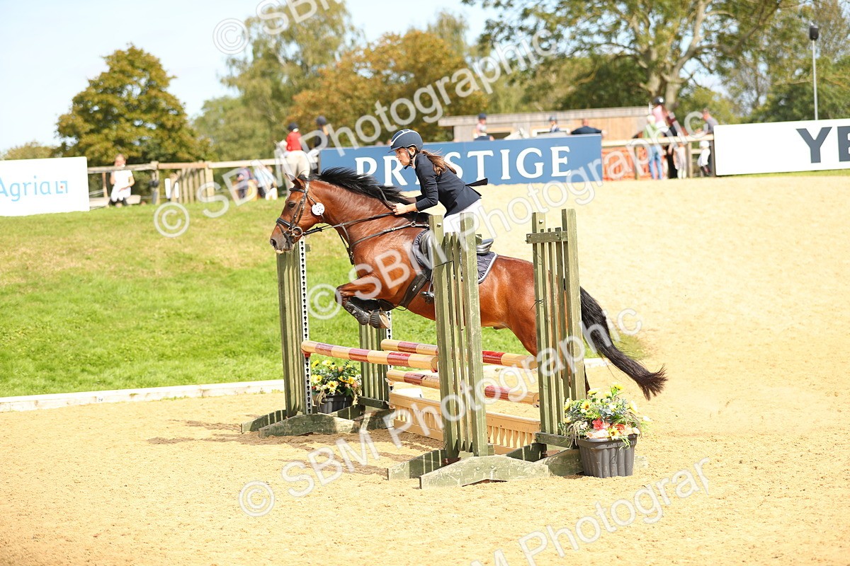 SBM_66179 - J17 - Junior Pony 80cm Championship