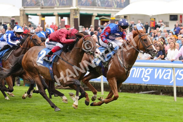 yr19082021r3-33 - Race 3 3.00pm Clipper Logistics Stakes