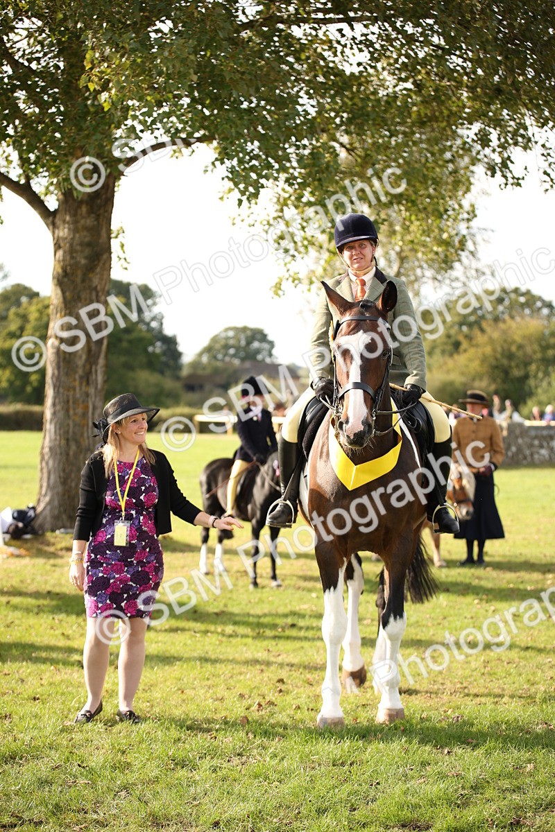 SBM_50243 - S26 - Young Veteran - Ridden