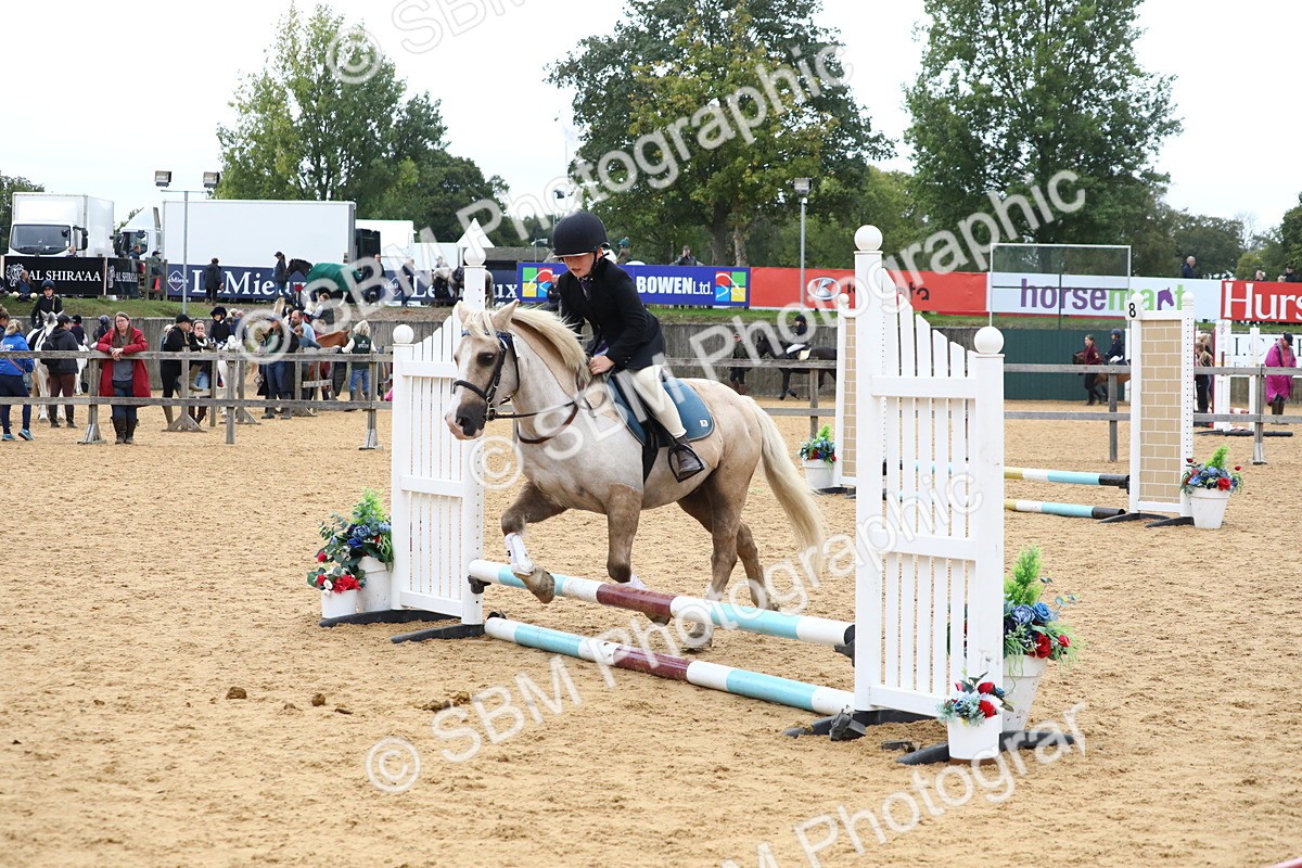 SBM_68171 - J3b - Mini Tour Junior Pony 40cm Championship