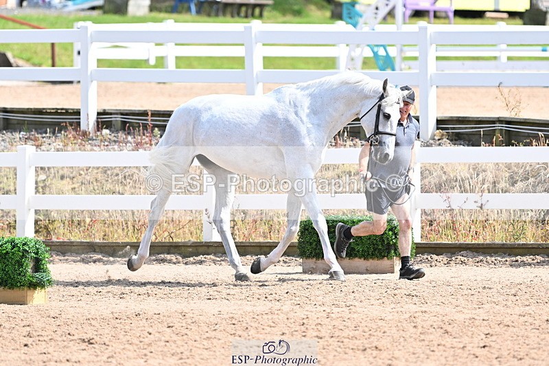 240717A-155022-03086 - Trot Up 3pm to 4pm
