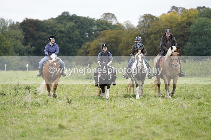 _DSC8031 - Time at Photographer 11:57 to 12:36