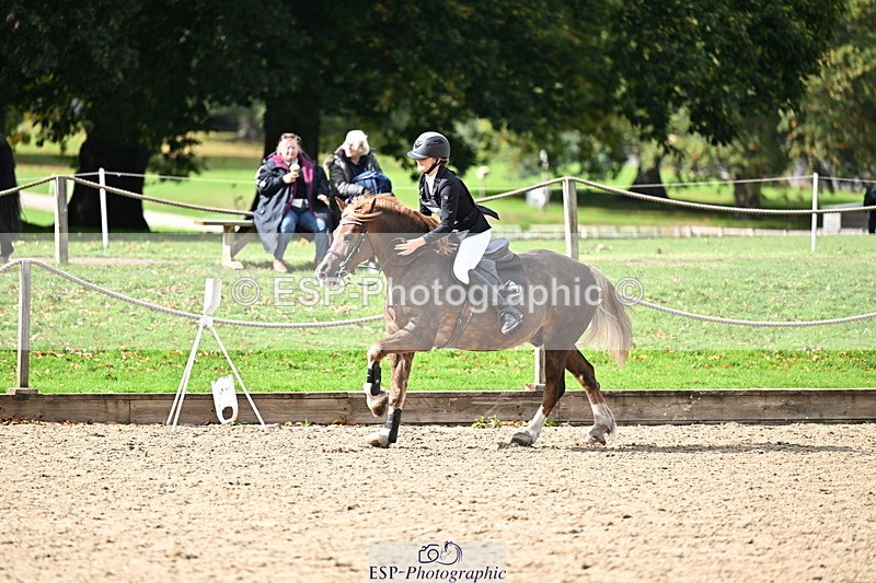 251005A-135932-04242 - Cls 09 Nov 80-85cm