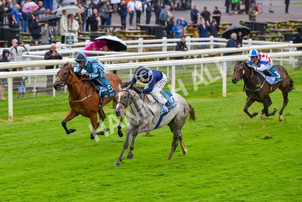 140723-Race 3-Symbology-8170 - Race 3 3.15pm William Hill Keep Your Raceday Positive Irish EBF Fillies' Novice Stakes