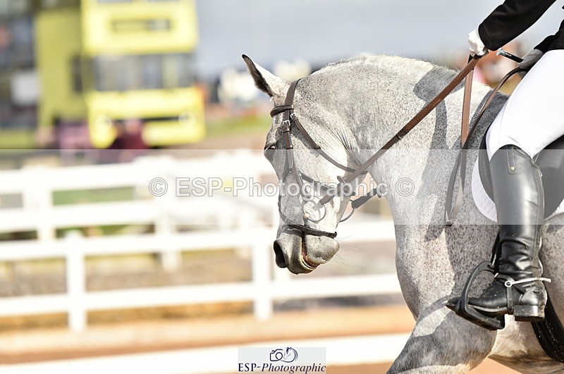 231104A-115418-01626 - Cls 5 Novice 37A