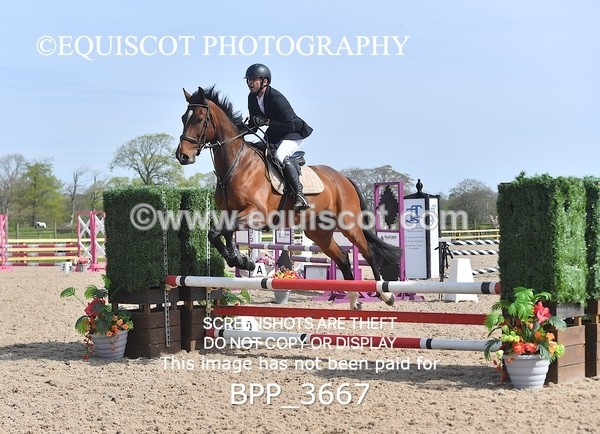 BPP_3667 - CLASS 1 Clear Round Show Jumping