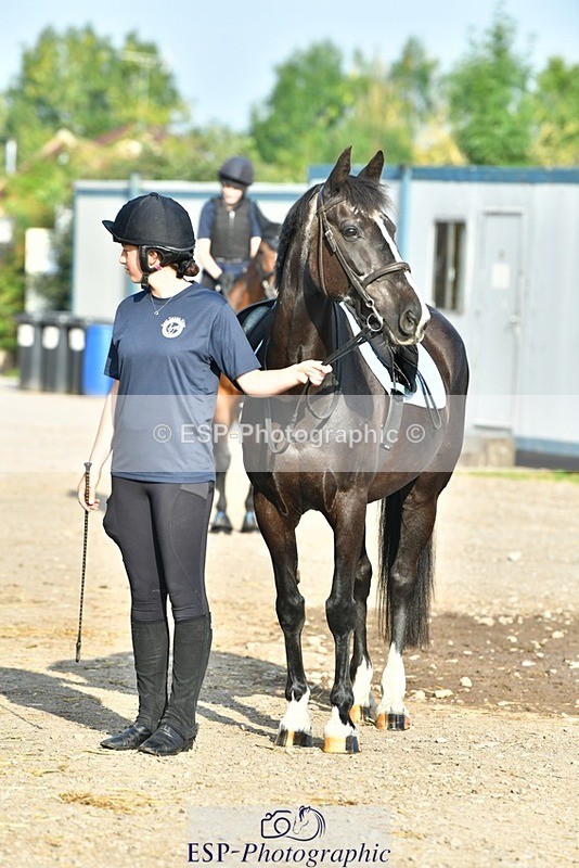 230817-083503-02420 - Stable Shots