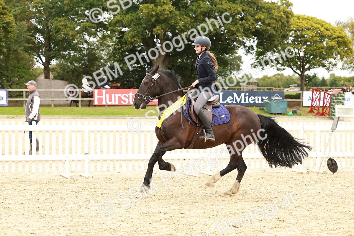 SBM_63934 - J12 - Junior Pony 55cm Championship