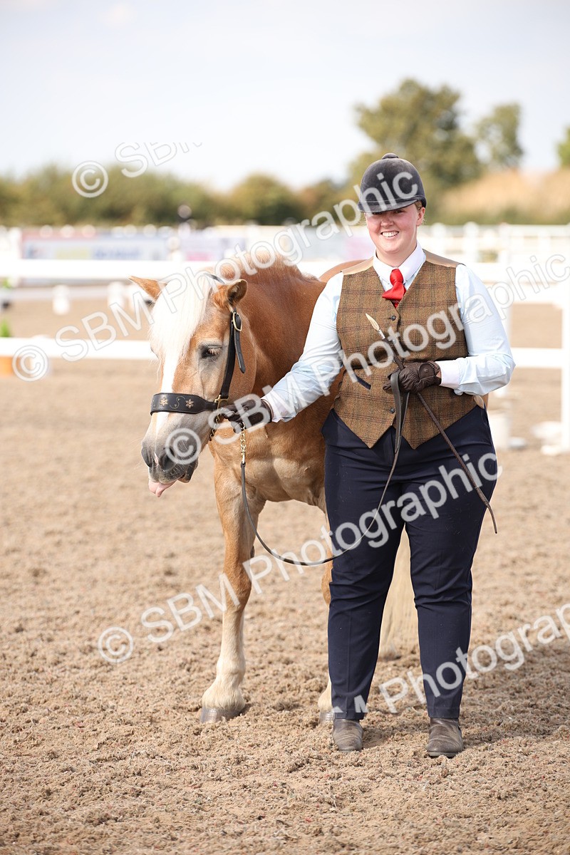 SBM_07075 - Class 25 IH Foreign Breeds- Pure bred