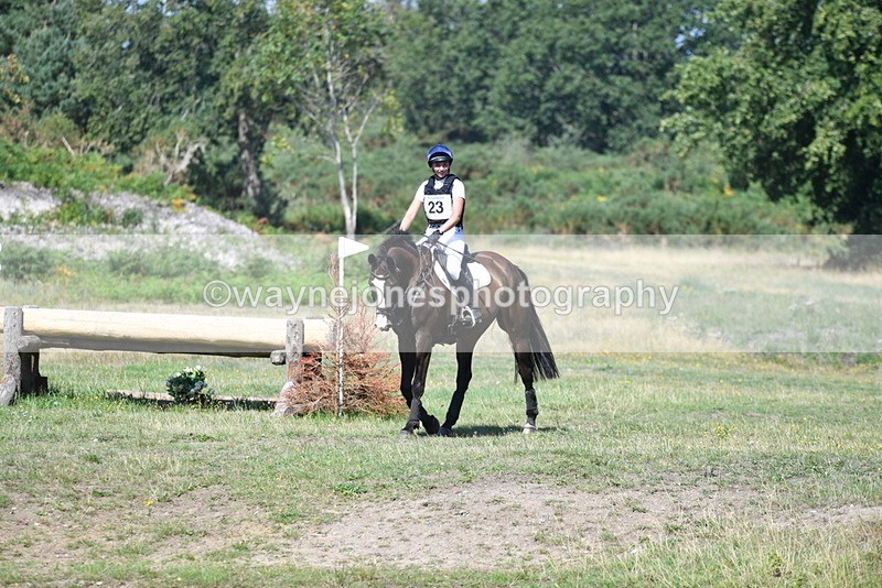 WJ5_2207 - XC Time 10:54 to 11:14