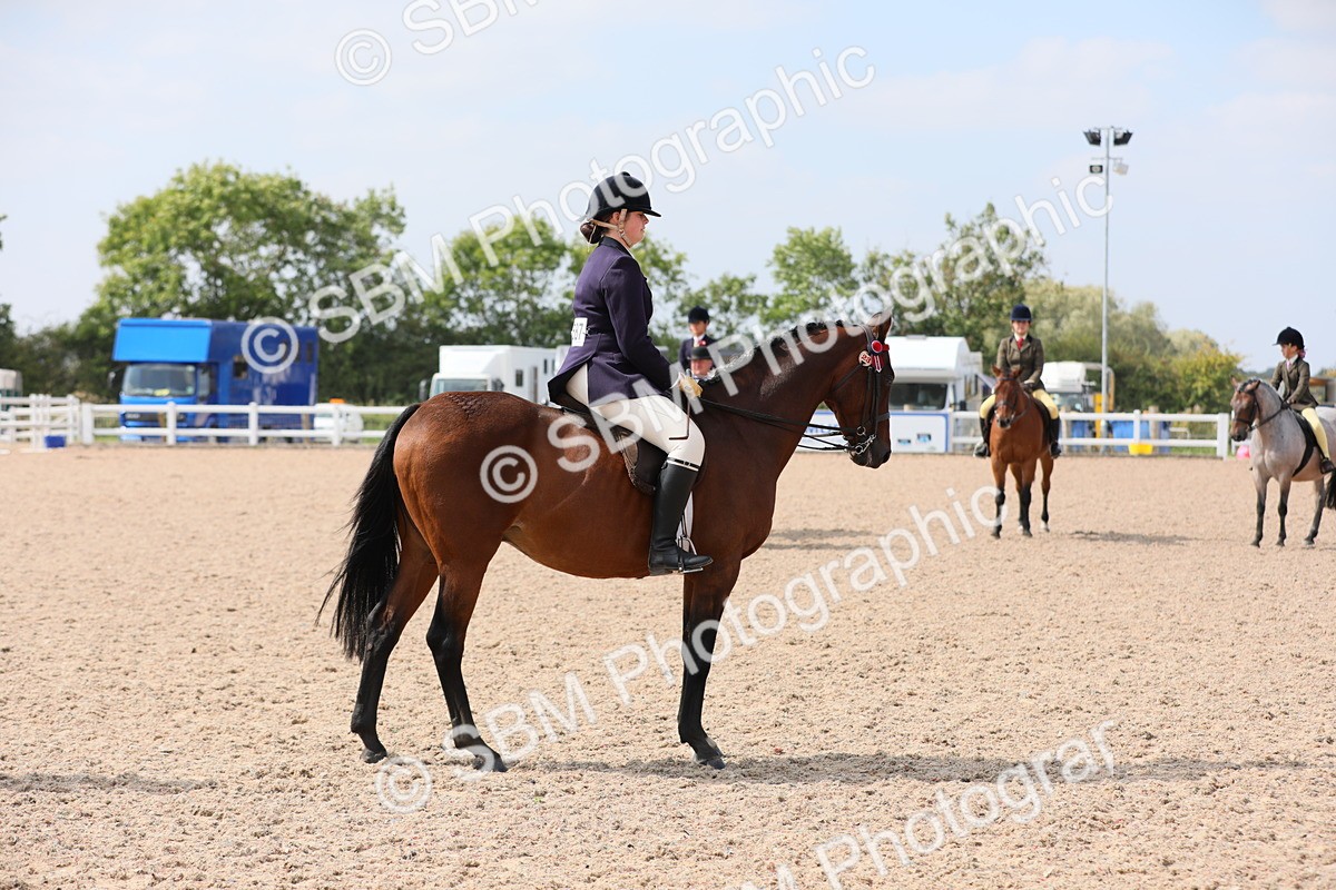 SBM_15603 - Class 311 Ridden Show Pony/ Show Hunter Pony