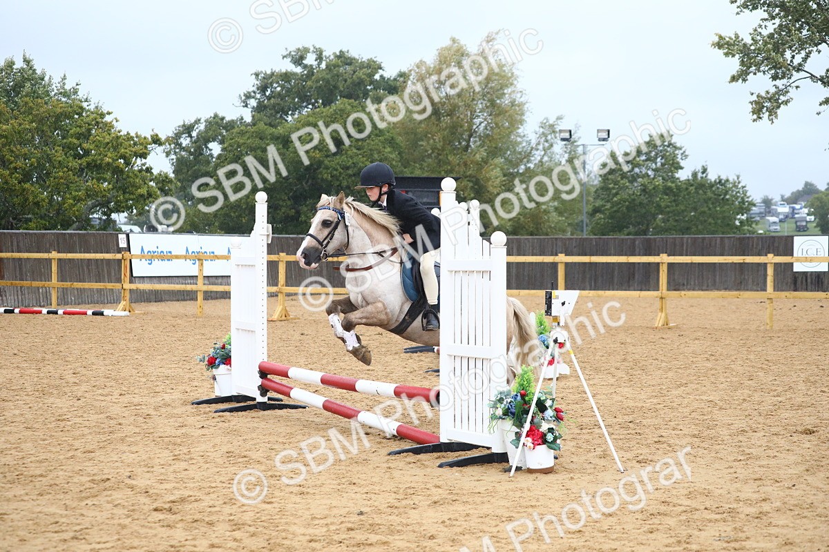 SBM_71575 - J4 - Mini Tour Junior Pony 45cm Championship