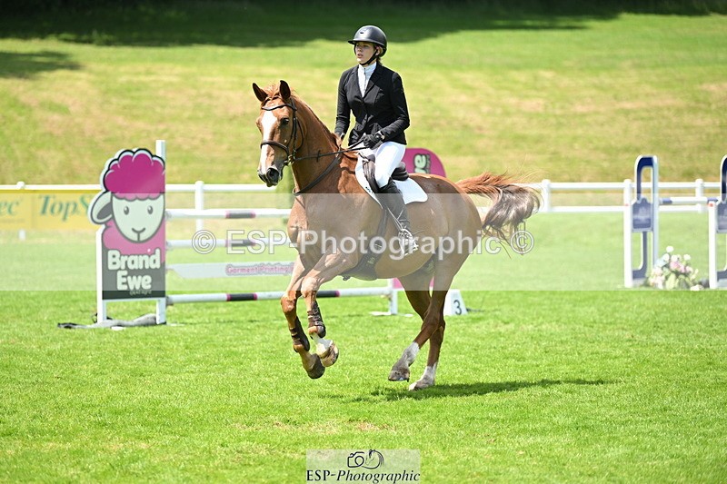 250614A-134915-06976 - Cls 20 Foxhunter