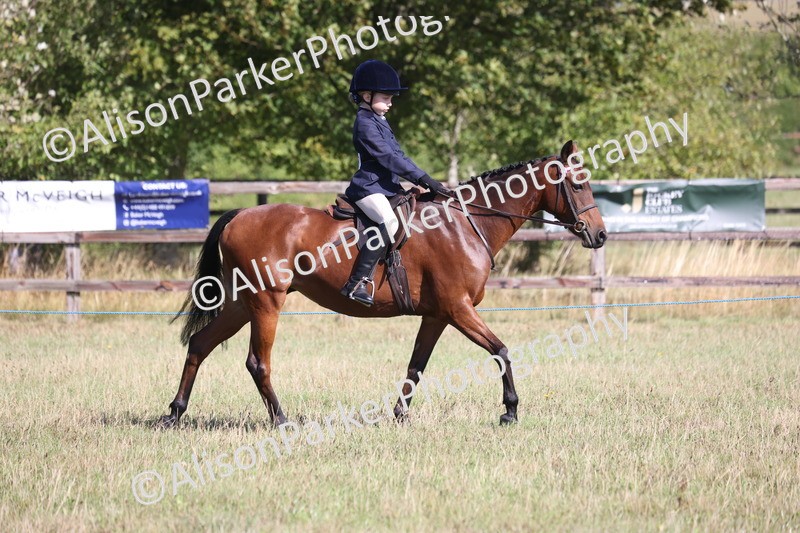 20260906-2137 - Class 16 - Family Pony