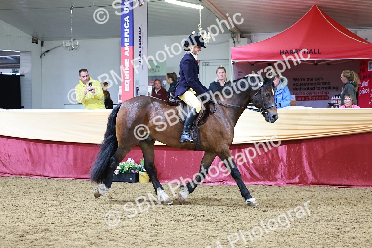 SBM_20020 - Class B - Junior Champ 11yr to 16 Years