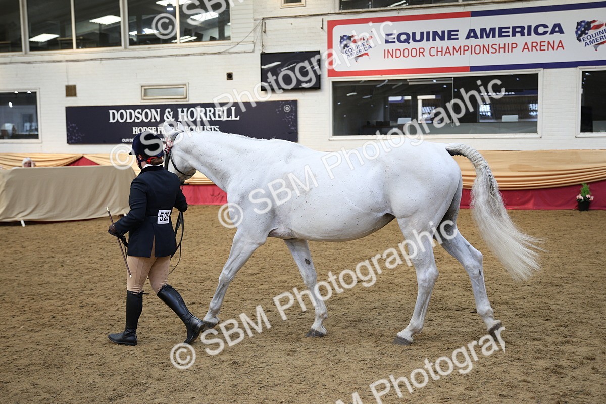 SBM_24796 - Class 906 - Supreme Final - Ridden Pre Vet