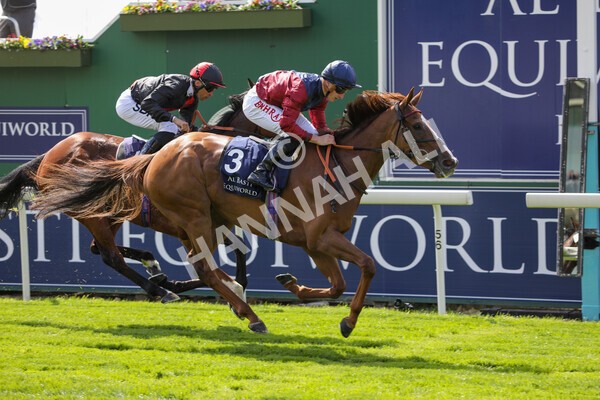yr12052022r2-35 - Race 2 2.25pm Al Basti Equiworld Dubai Middleton Fillies' Stakes