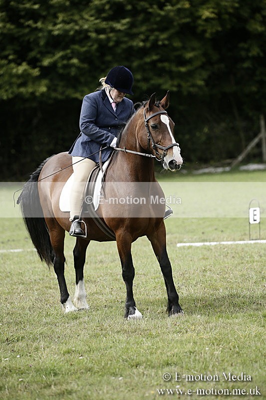 BVR080918 181 - BVRC Novice Dressage & CR 08/09/18