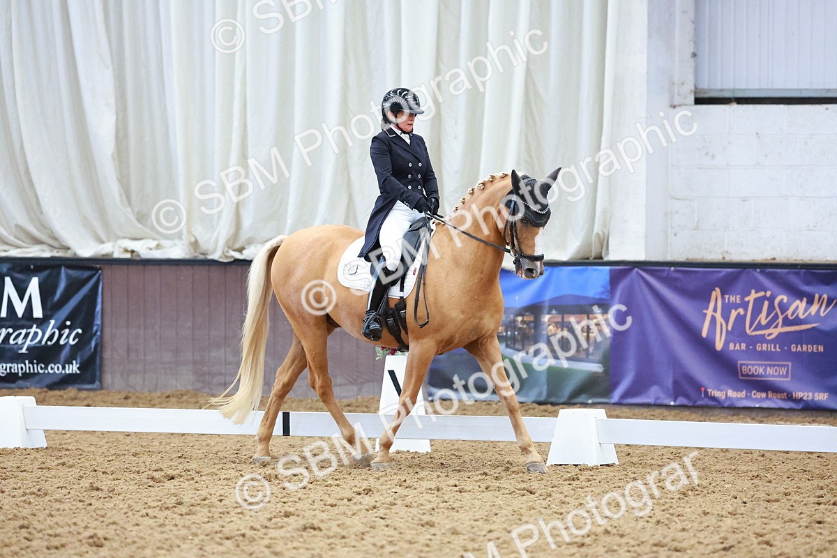 SBM_021290 - Class 25 - FEI PSG Bronze
