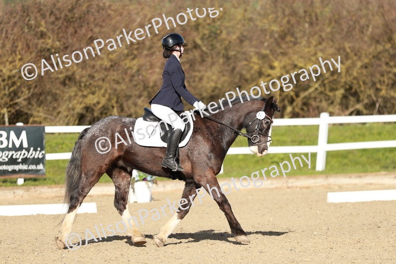 20260314-4539 - DR4 - Prelim 2