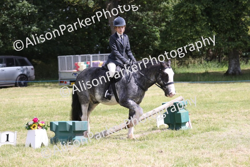 20260614-1962 - Class 21 - Novice Working Hunter Pony