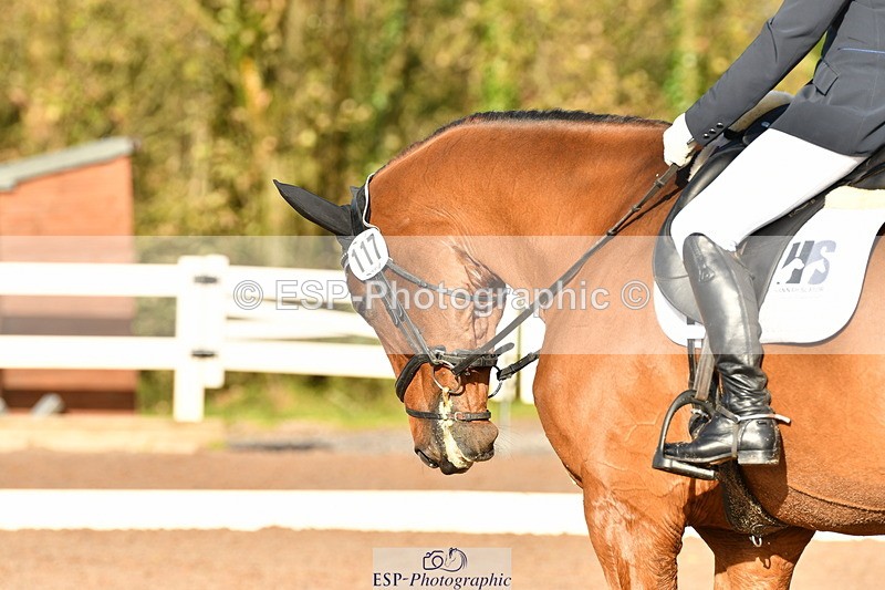 231104A-131812-00625 - Cls 11 Medium 75