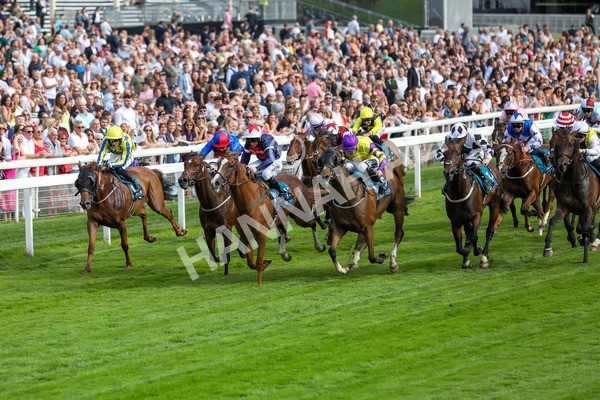 260724-Race 1-Craven-3924 - Race 1 5.30pm eventmasters.co.uk Handicap