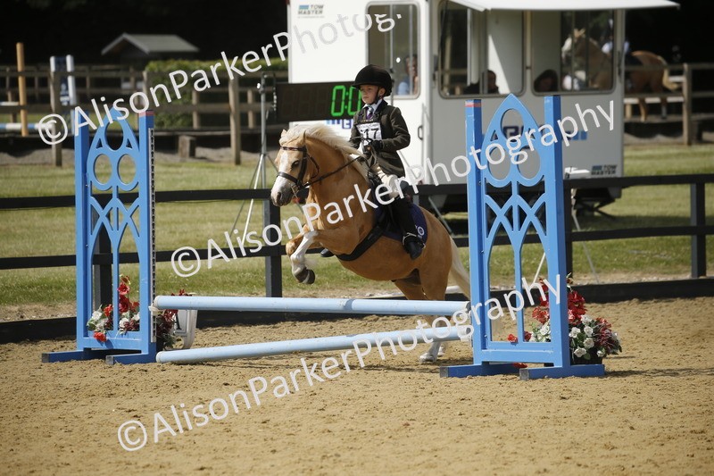 20250622-3792 - 50cm