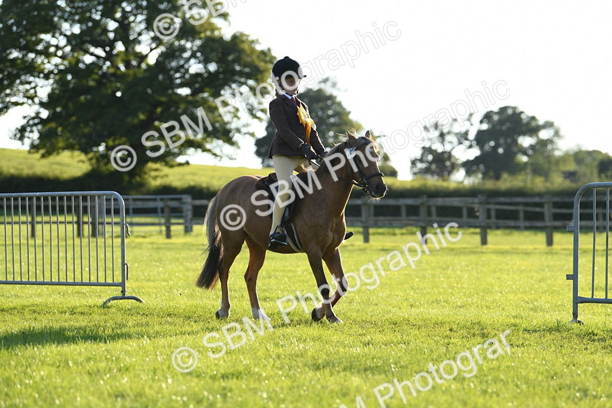 SBM_54221 - S23 - 1st Ridden Mountain & Moorland Pony
