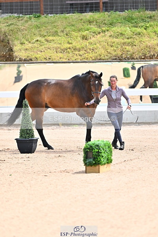 240718A-105236-00869 - Trot Up 11am to 12pm