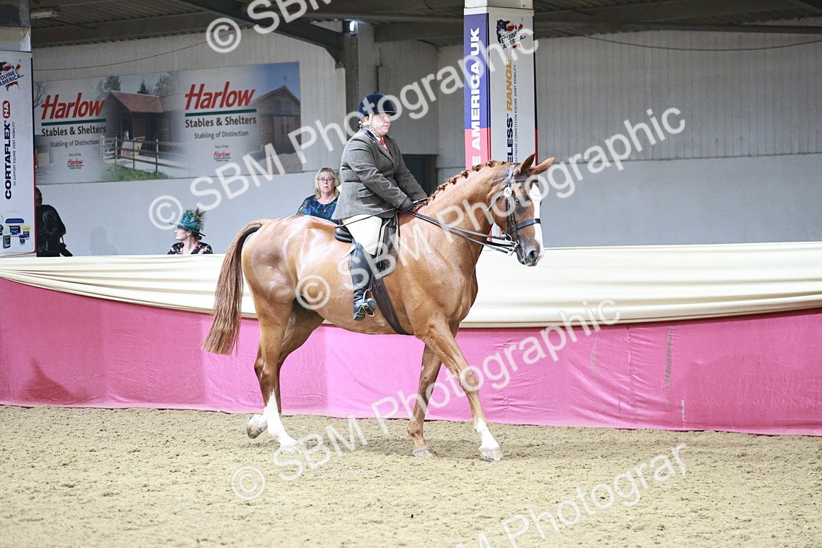 SBM_08731 - Class 12R - Regional Ridden Pre-Vet