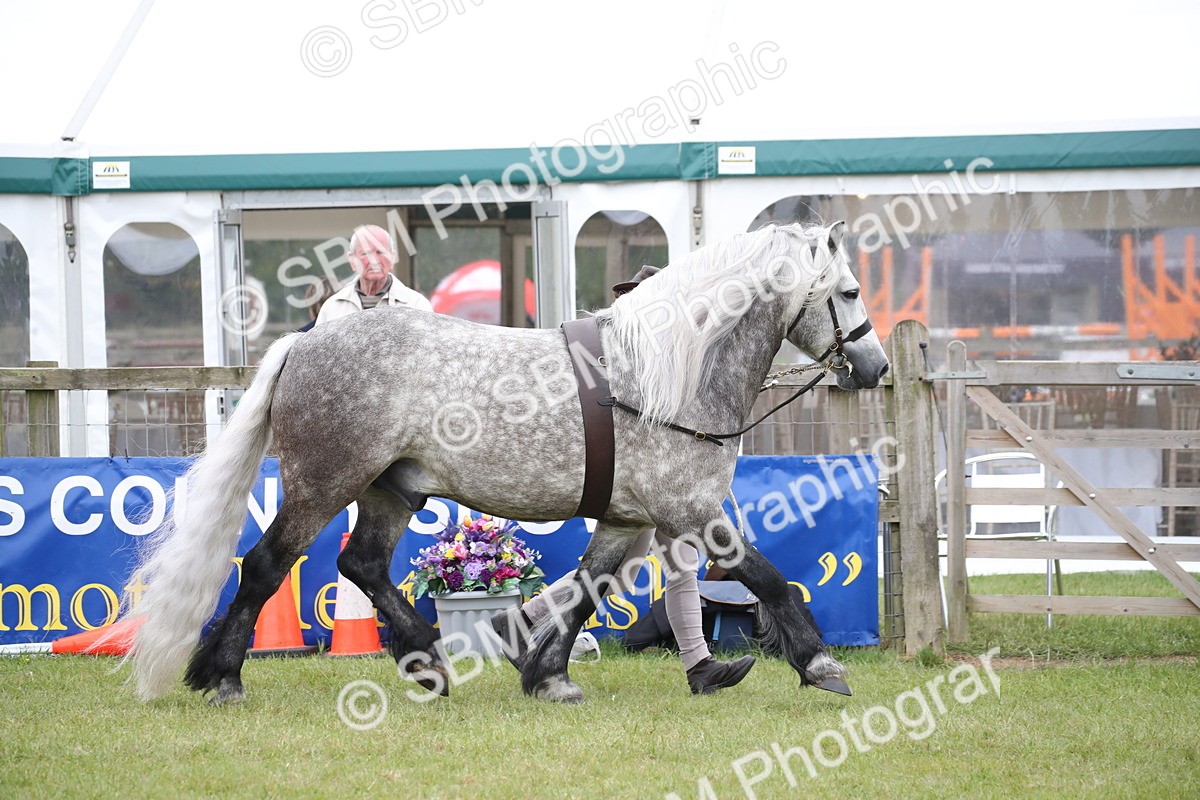 SBM_09737 - Ch 50 - Price Family Supreme In Hand