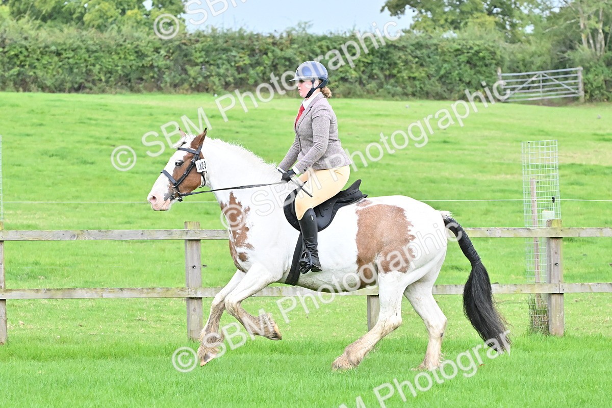 SBM_42898 - S12 - Family Horse & Pony