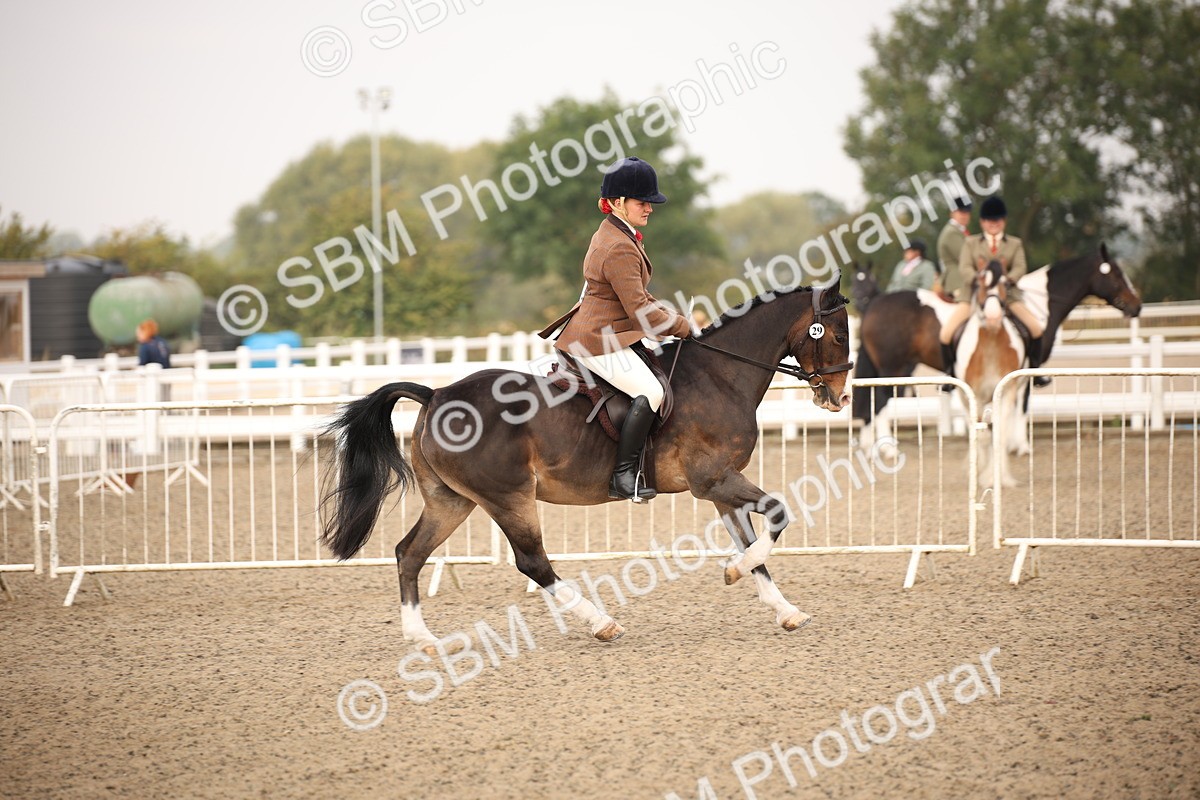 SBM_09799 - Class 401 Riding Club Pony