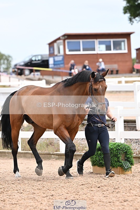 250716-154150-02137 - Trot Up 3.30 to 4.30