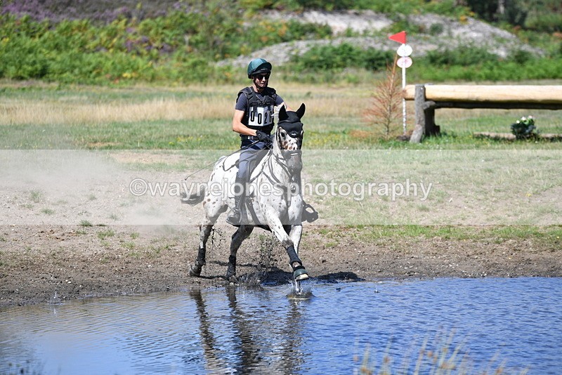 WJ5_2374 - XC Time 11:17 to 11:50
