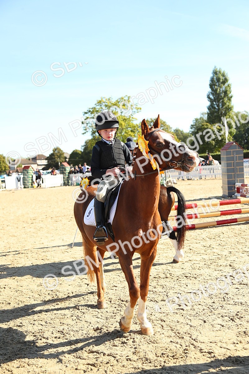 SBM_36044 - J5 - Junior Pony 50cm Championship