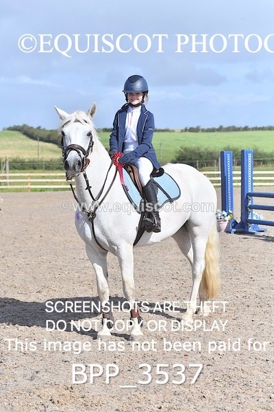 BPP_3537 - CLASS 2 Club/ Unaffiliated 80cms Open